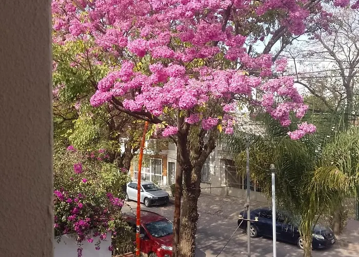 Amplio Y Luminoso